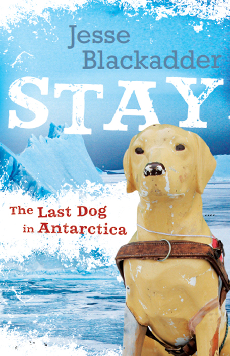 The Last Dog In Antarctica